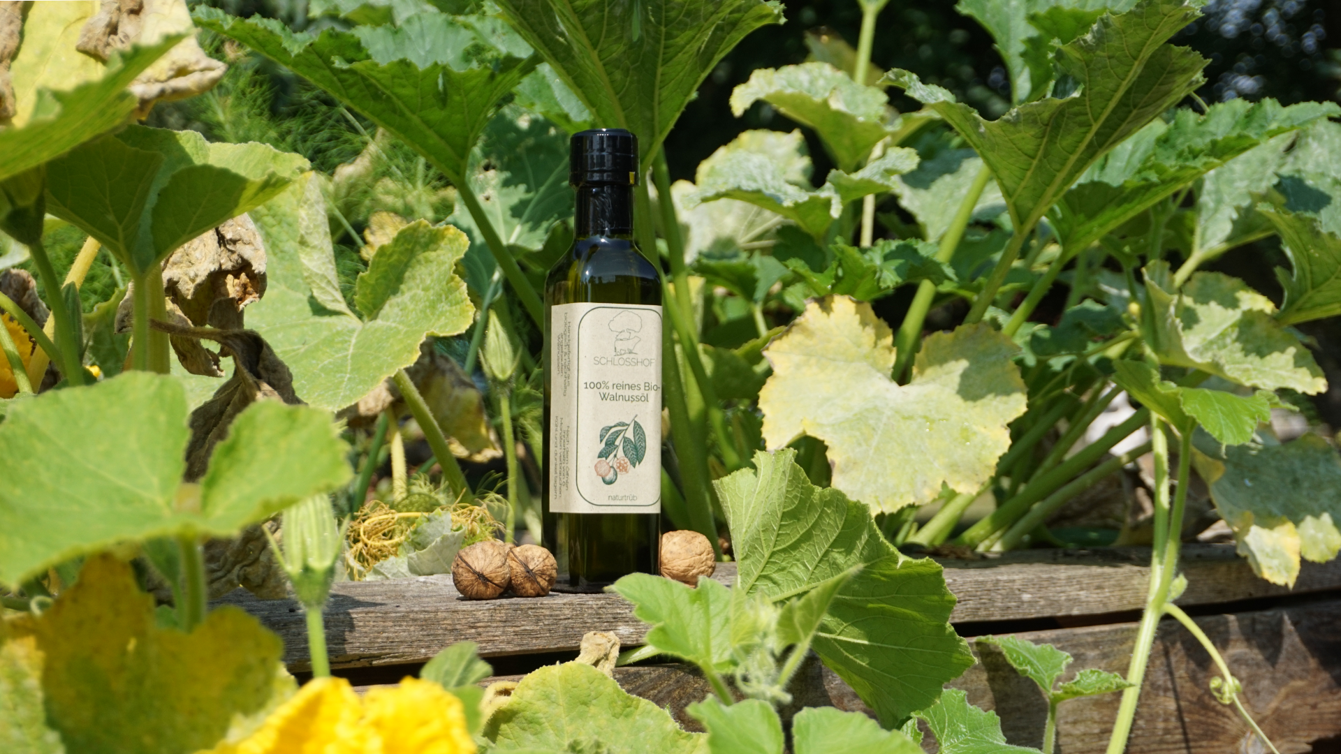Bio-Walnussöl – Schlosshof-Shop Bio-Walnussöl – Schlosshof-Shop