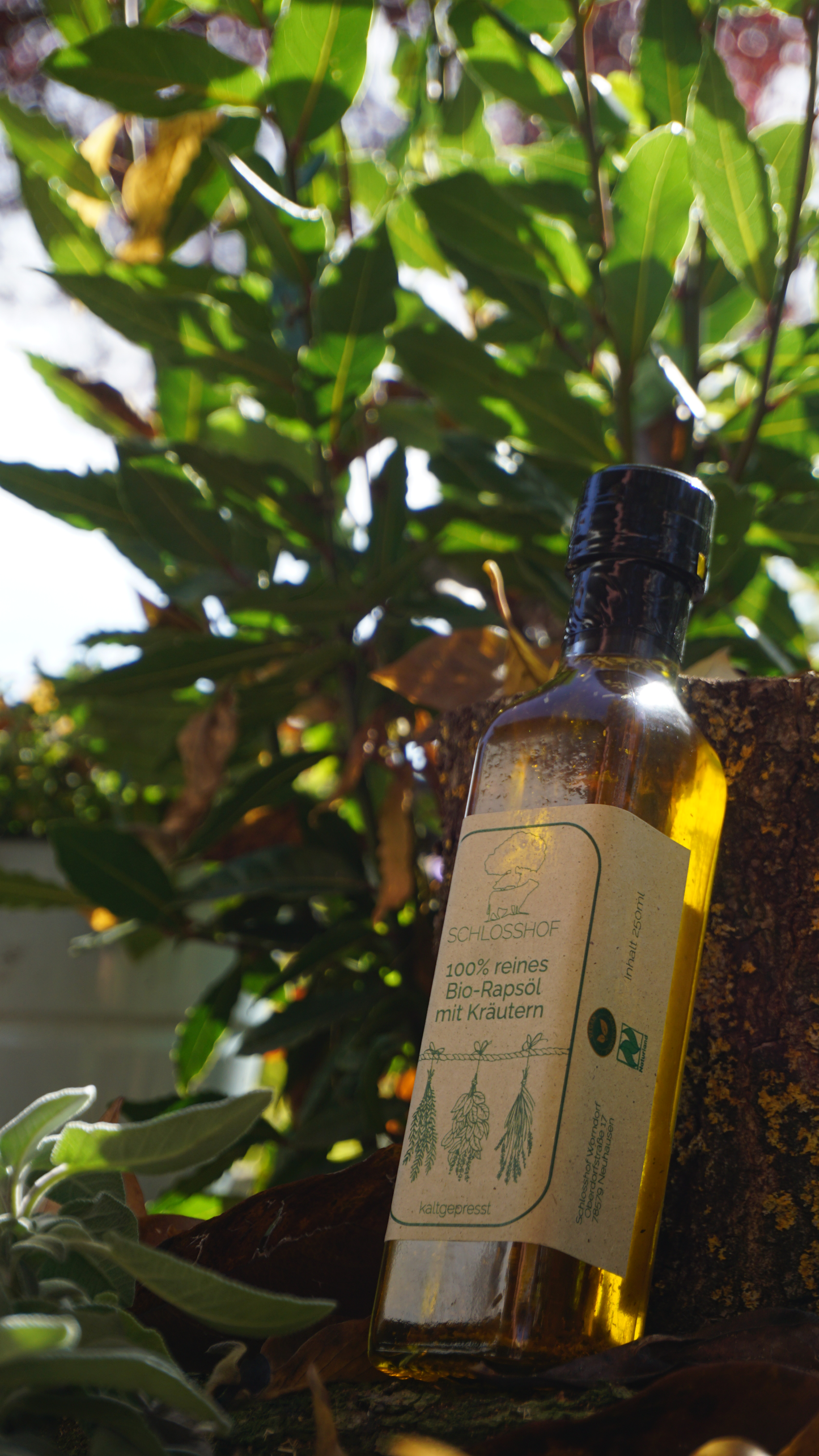 Reines Bio-Rapsöl verfeinert mit Kräutern. Handgefertigt, nachhaltig, vegan, biologisch angebaut. Direkt vom Bauernhof